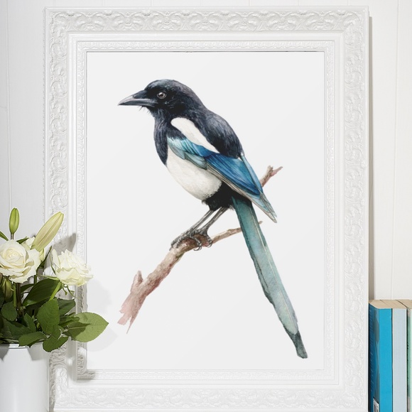 Watercolor Magpie Bird Wall Art Print, Unframed - Elegant Nature-Inspired Decor - Picture 6 of 6